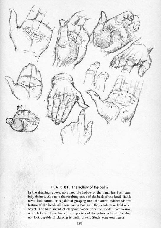 [人体素描的艺术-人体素描和结构的经典方法].(美)里德.扫描版s_页面_126.jpg.jpg