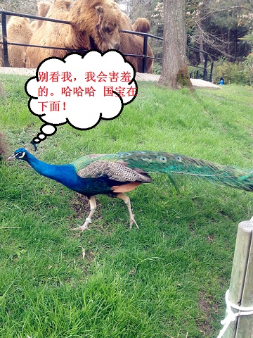 2012.04.07 (107).jpg