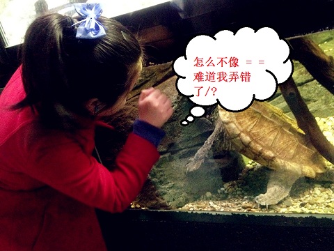 2012.04.07 (120).jpg