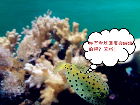 2012.04.07 (140).jpg