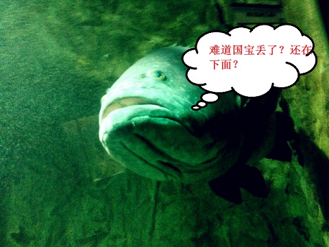 2012.04.07 (152).jpg