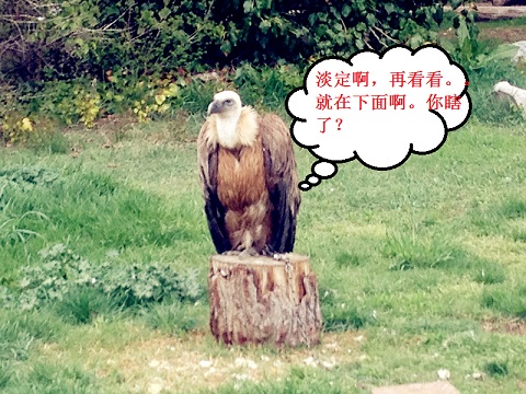 2012.04.07 (161).jpg