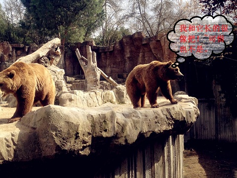 2012.04.07 (192).jpg