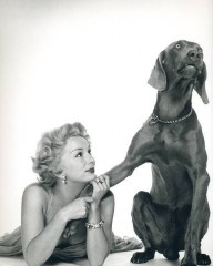 50亲 我们结婚吧.jpg