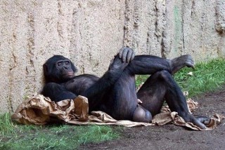 52蛋疼 怎么都睡不着.jpg