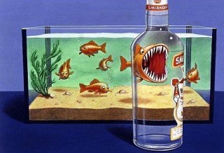 54透过瓶子 什么鱼儿都是食人鱼.jpg