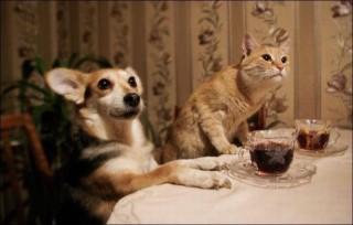 61翠花 赶紧给我上菜.jpg