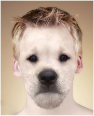 78各种被 被狗头的人.jpg