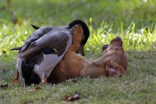 105别啊 我以后怎么嫁人啊.jpg