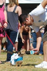 采访一下 作为一个禽兽 你玩的开心吗.jpg