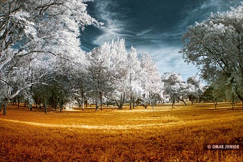seoip-18 - 副本.jpg