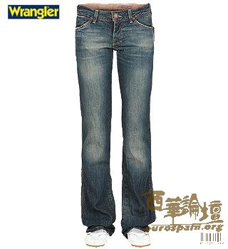 这是网上图片