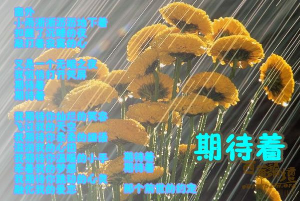 期待着.jpg