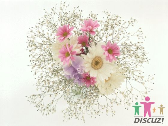 鲜花.jpg