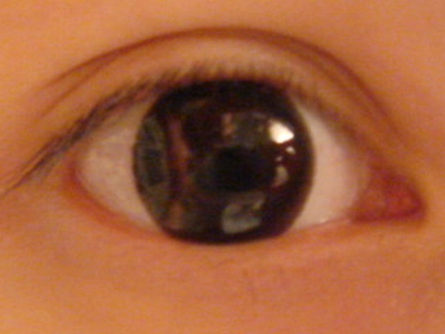 DSC02211.JPG