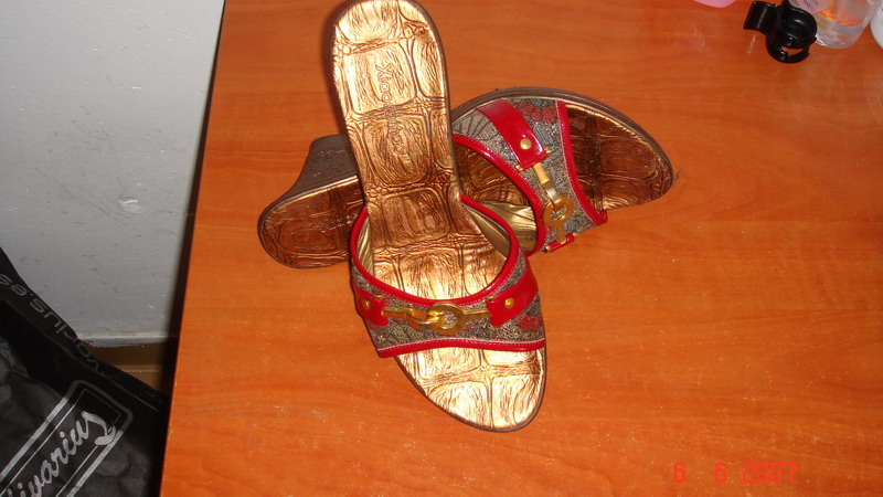 DSC01238_调整大小.JPG