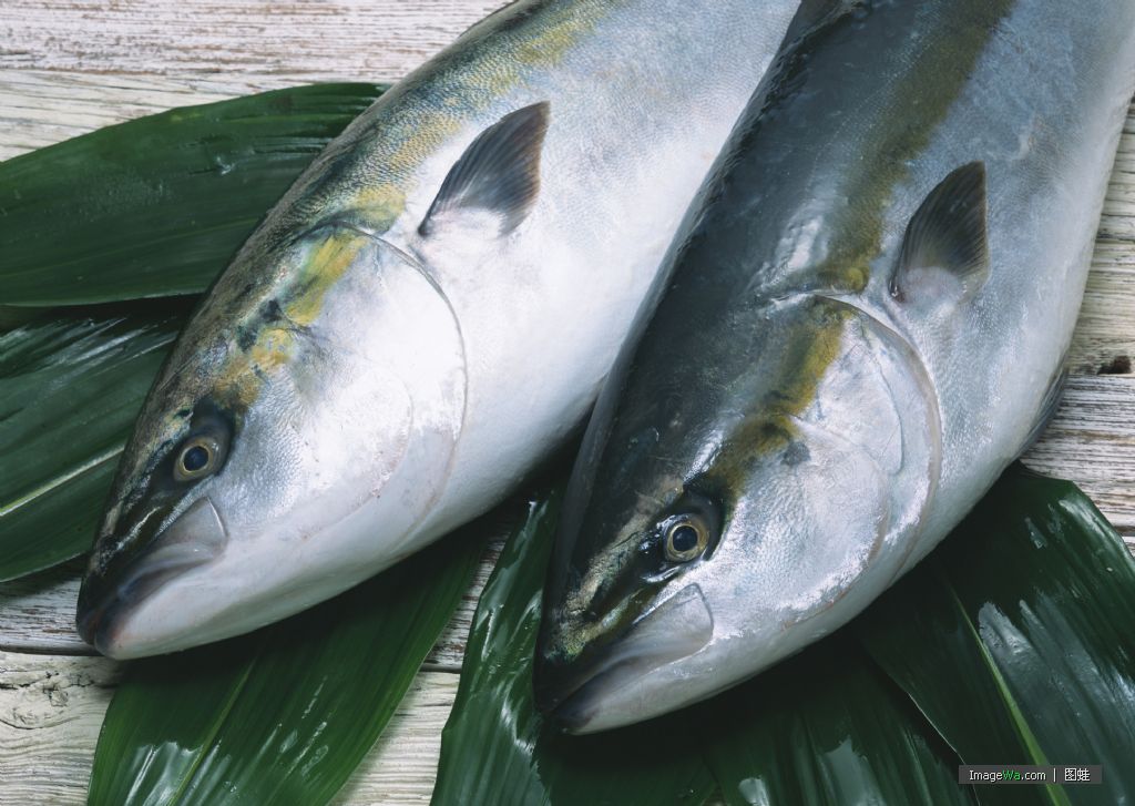 pescado.jpg
