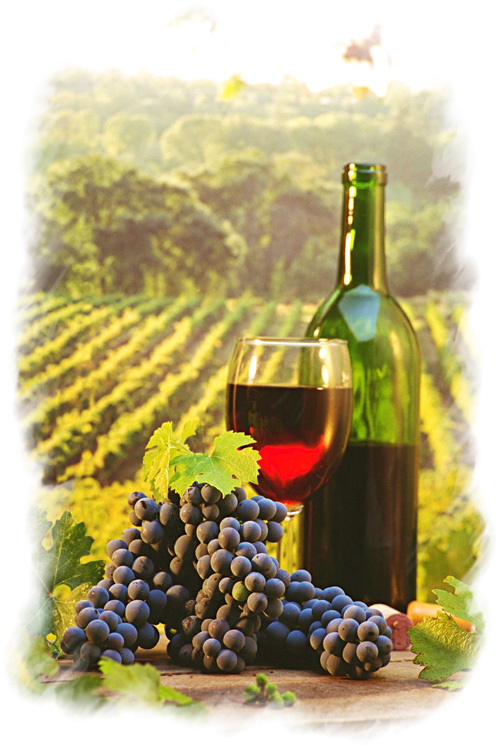 Winelist.jpg