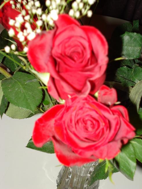 DSC03187.JPG
