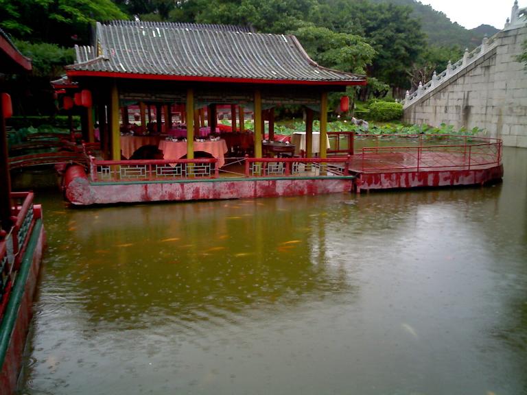 鱼雨相嬉，别有风情