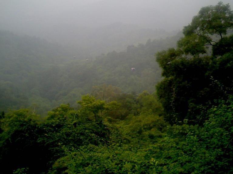 广东持续大雨，使白云山上白云缠