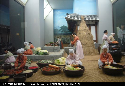 做泡菜.jpg