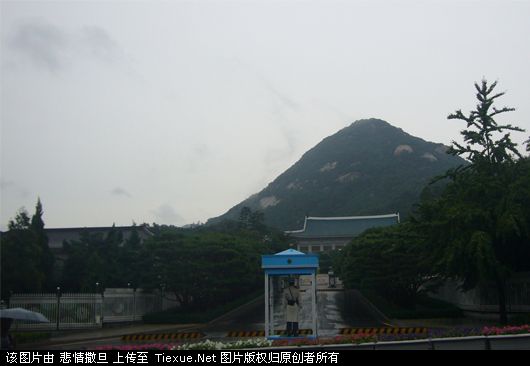青瓦台.jpg