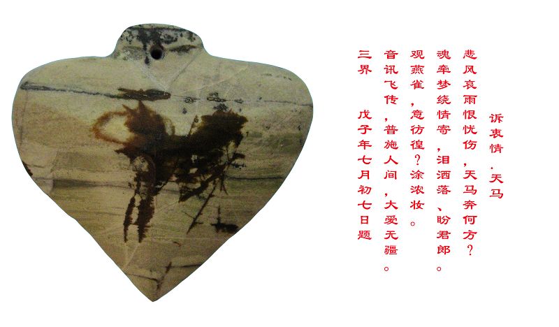 未标题-20.jpg