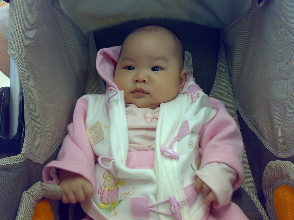 18092008130.jpg