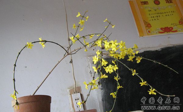 20090224_f6ffc28215c8a408c254dWZR55yGXPnr.jpg
