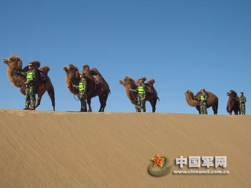 准备出发的驼队.jpg
