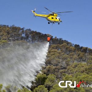 西班牙度假胜地发生森林大火 1200人转移